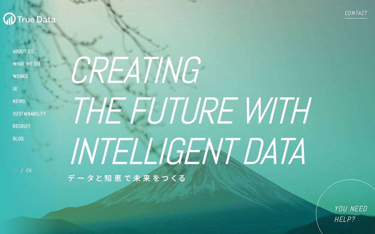 株式会社TrueData website preview