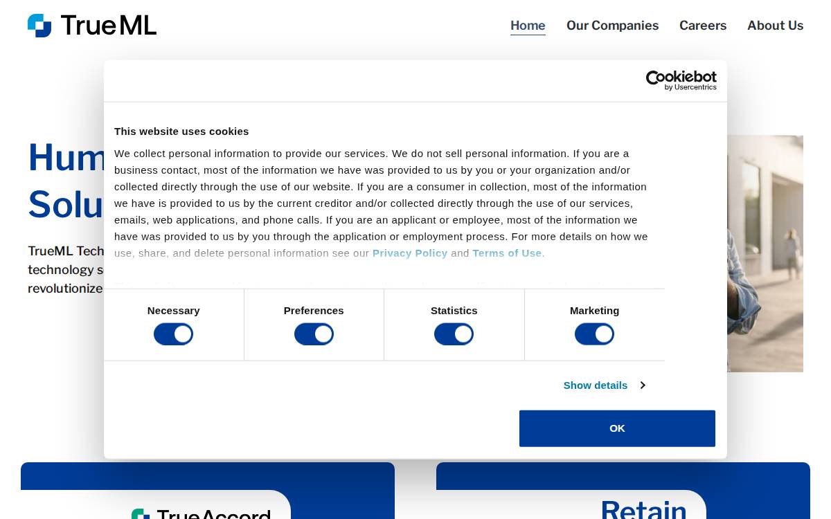 TrueML website preview