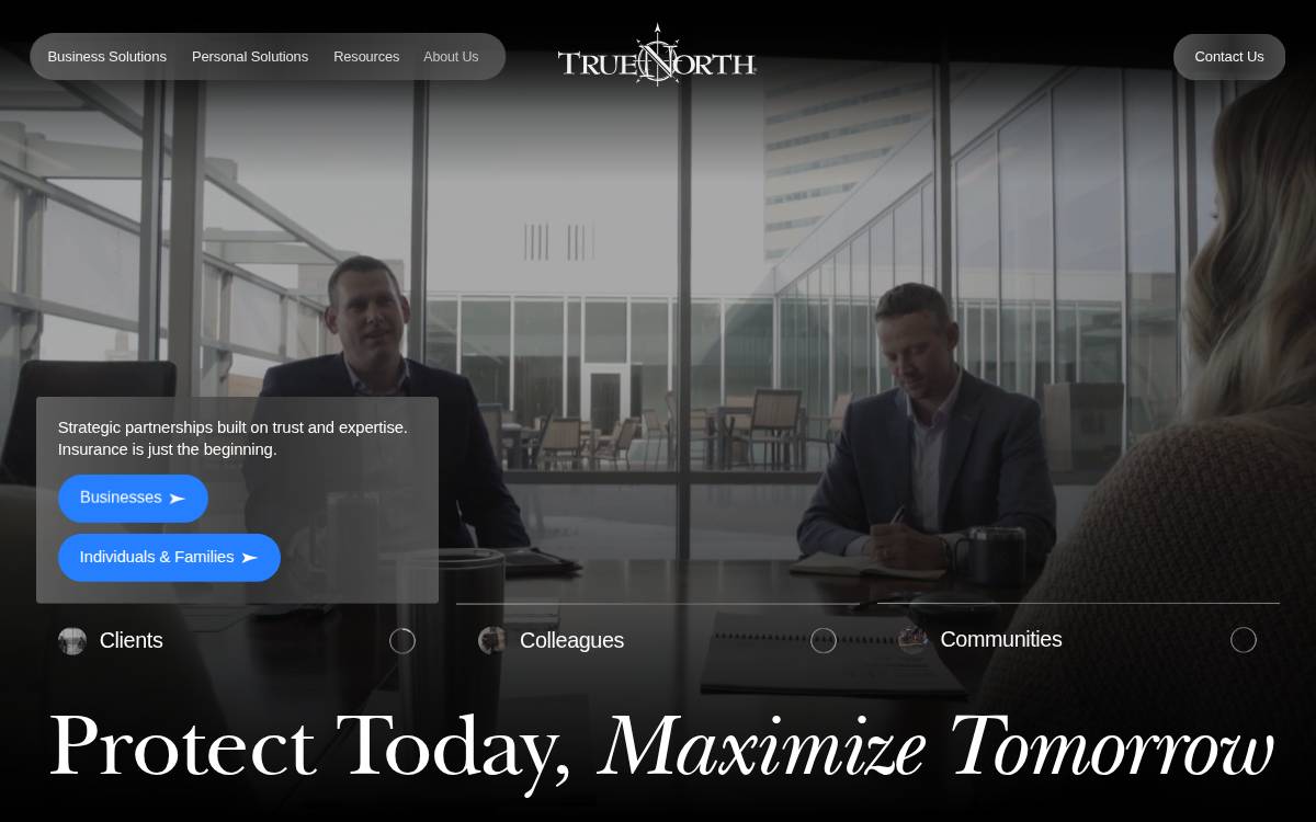 Truenorthcompanies website preview