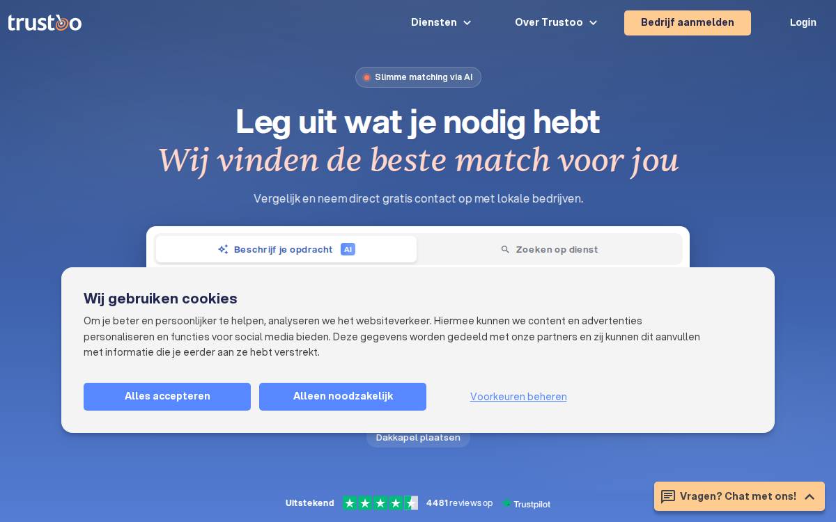 Trustoo website preview
