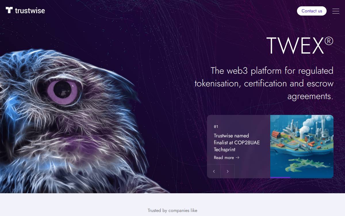 Trustwise website preview