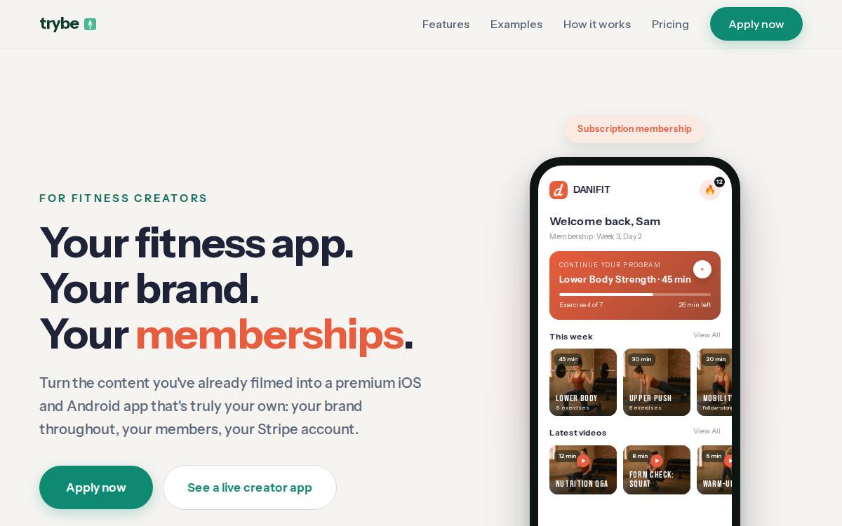 Trybe website preview