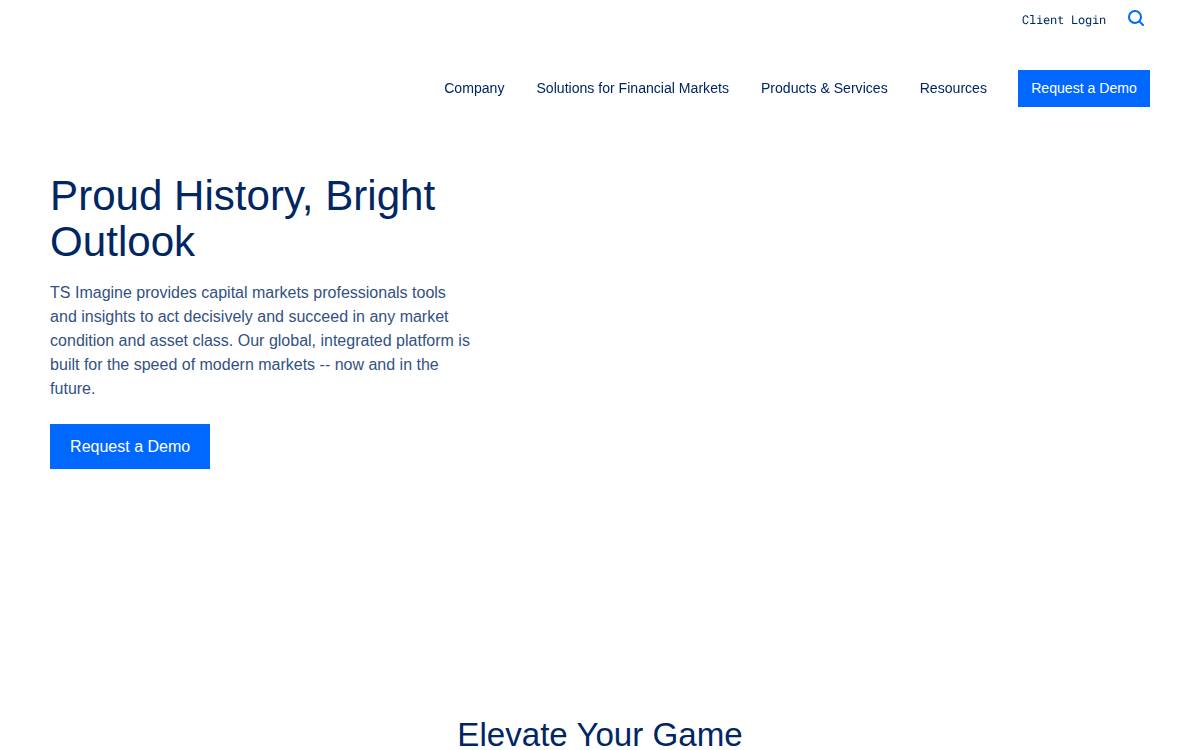 Ts Imagine website preview
