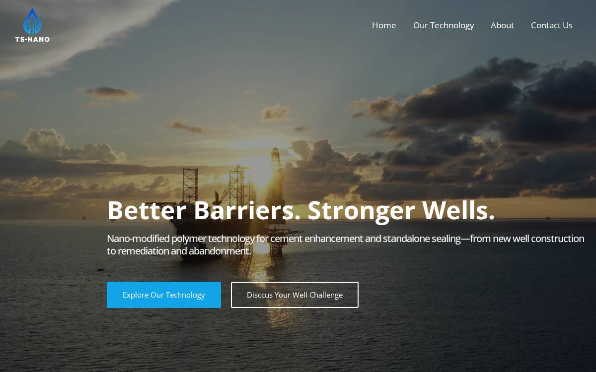 TS NANO website preview