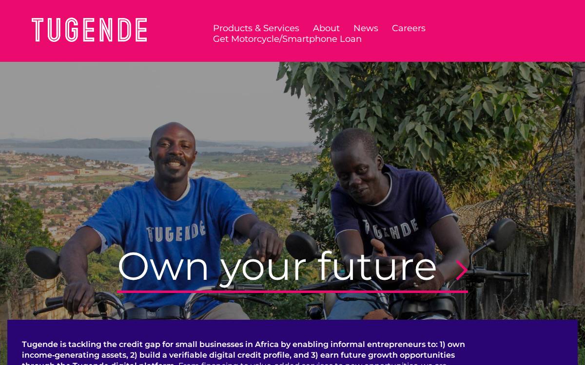 Tugende website preview