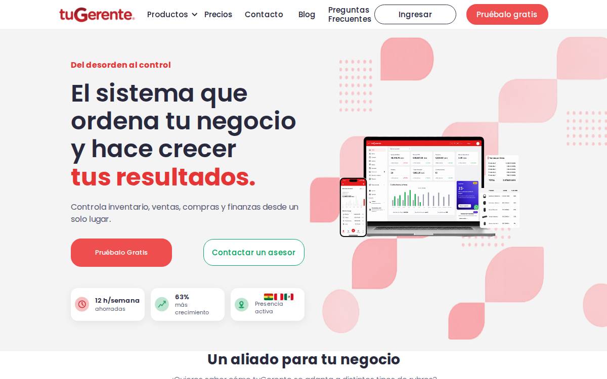TuGerente website preview