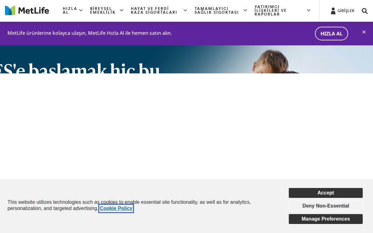 Turkey website preview