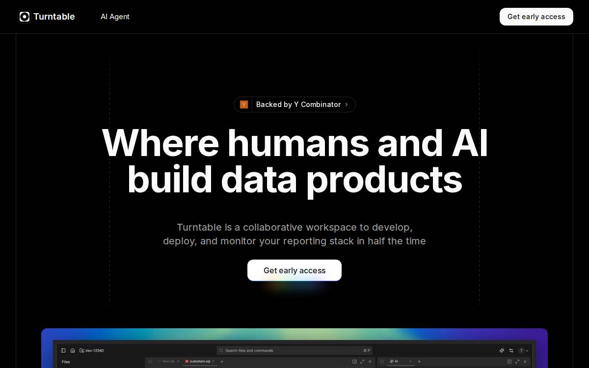 Turntable website preview