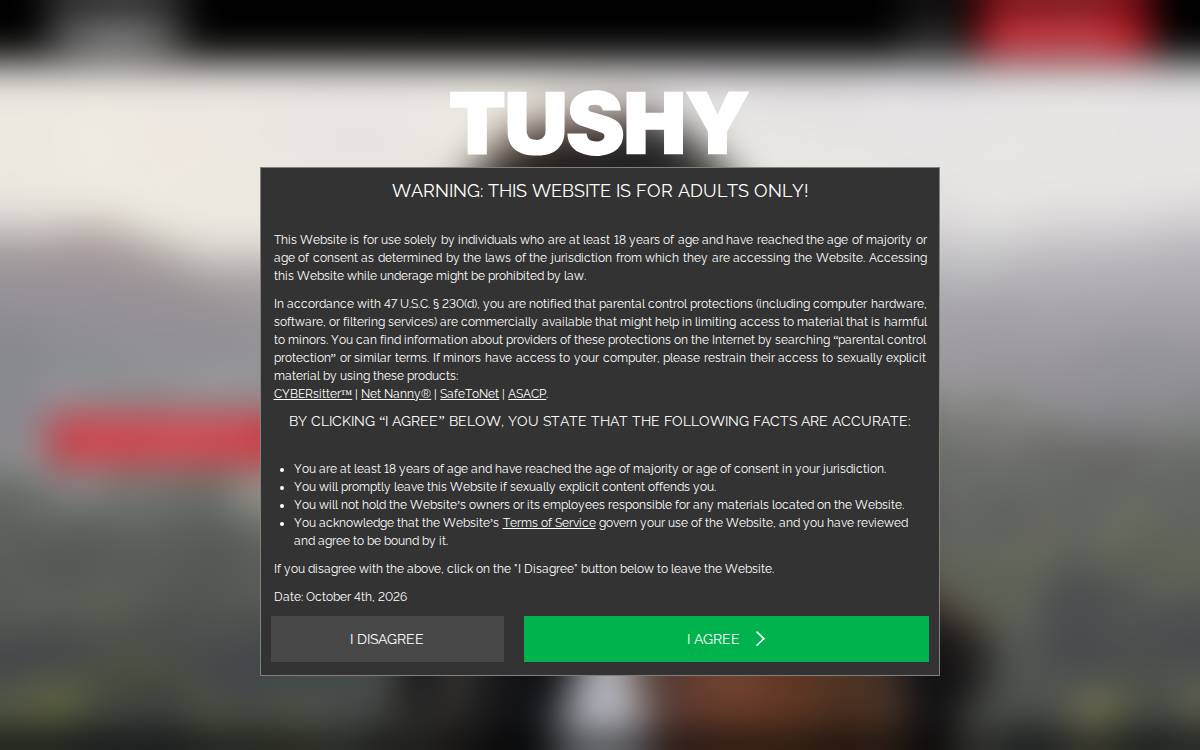 Tushy website preview
