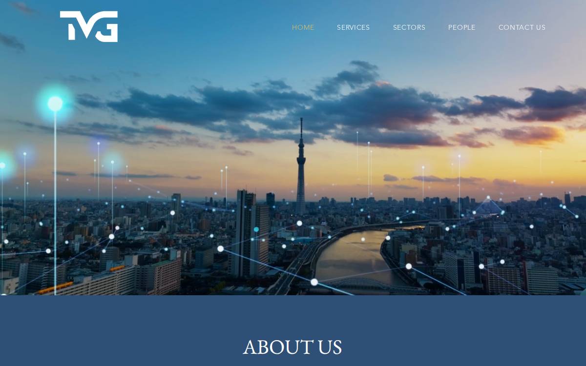 Tvg website preview