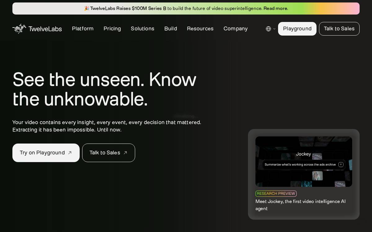 Twelve Labs website preview
