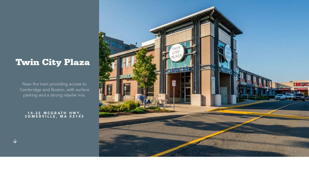 Twin City Plaza website preview