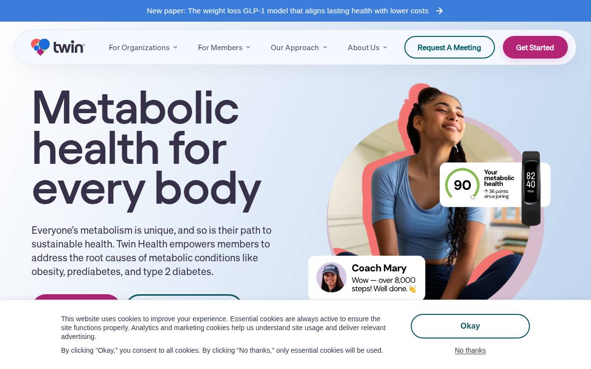 Twin Health website preview