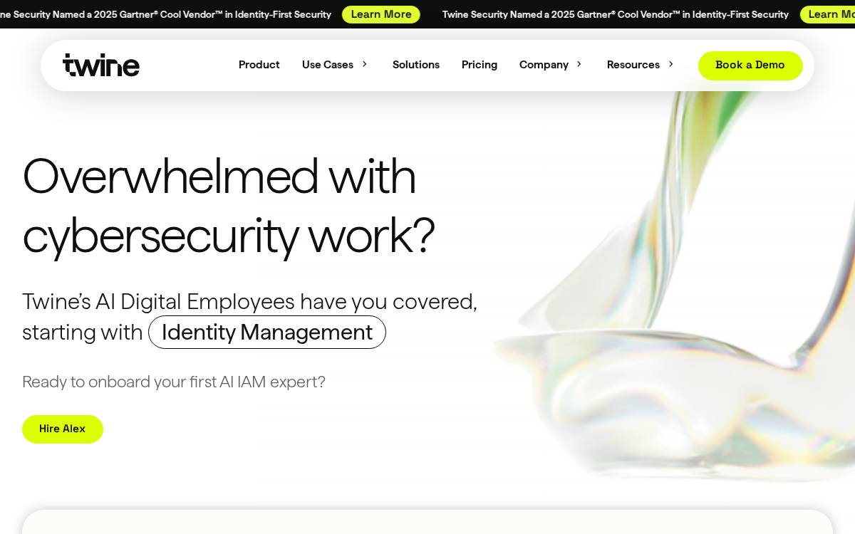Twinesecurity website preview