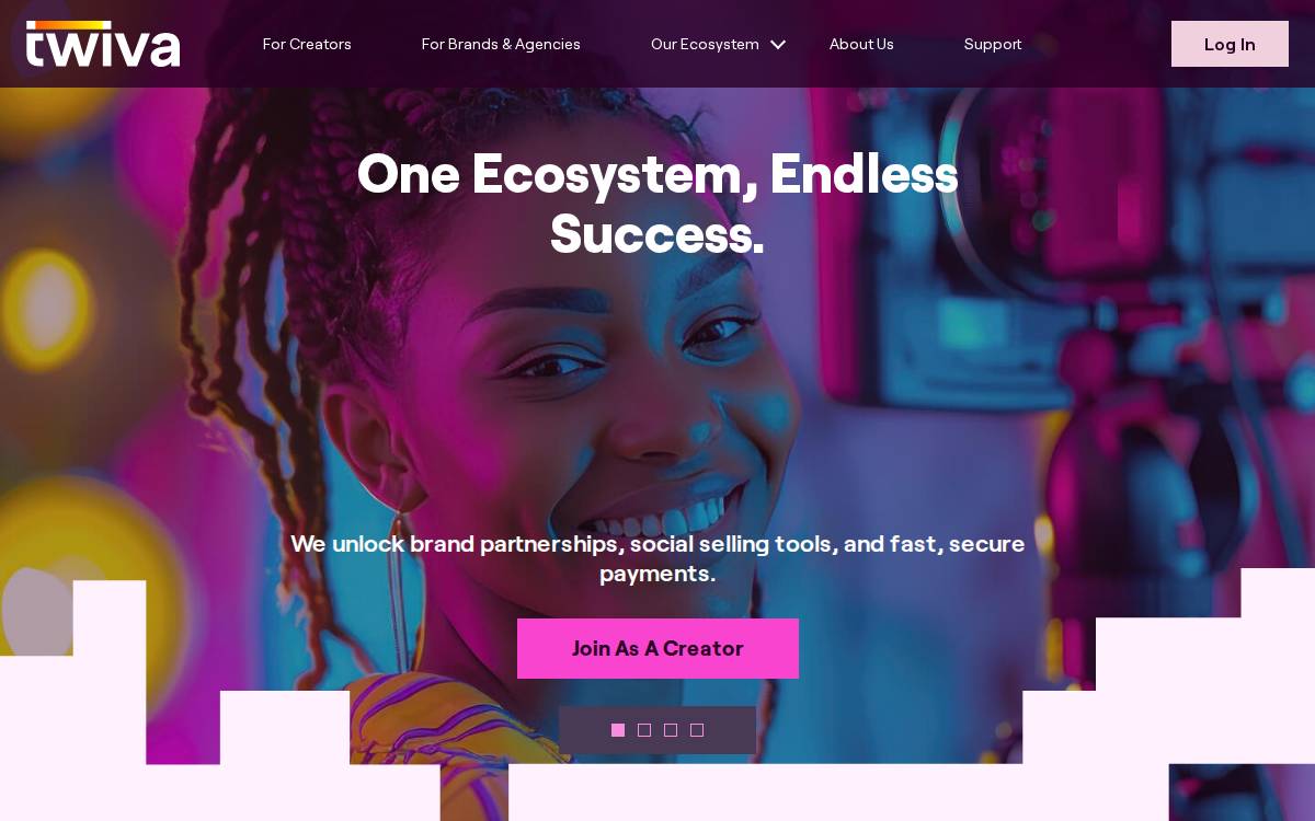 Twiva website preview
