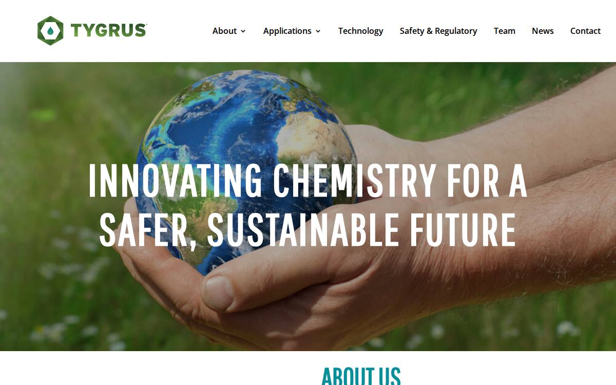 Tygrus website preview