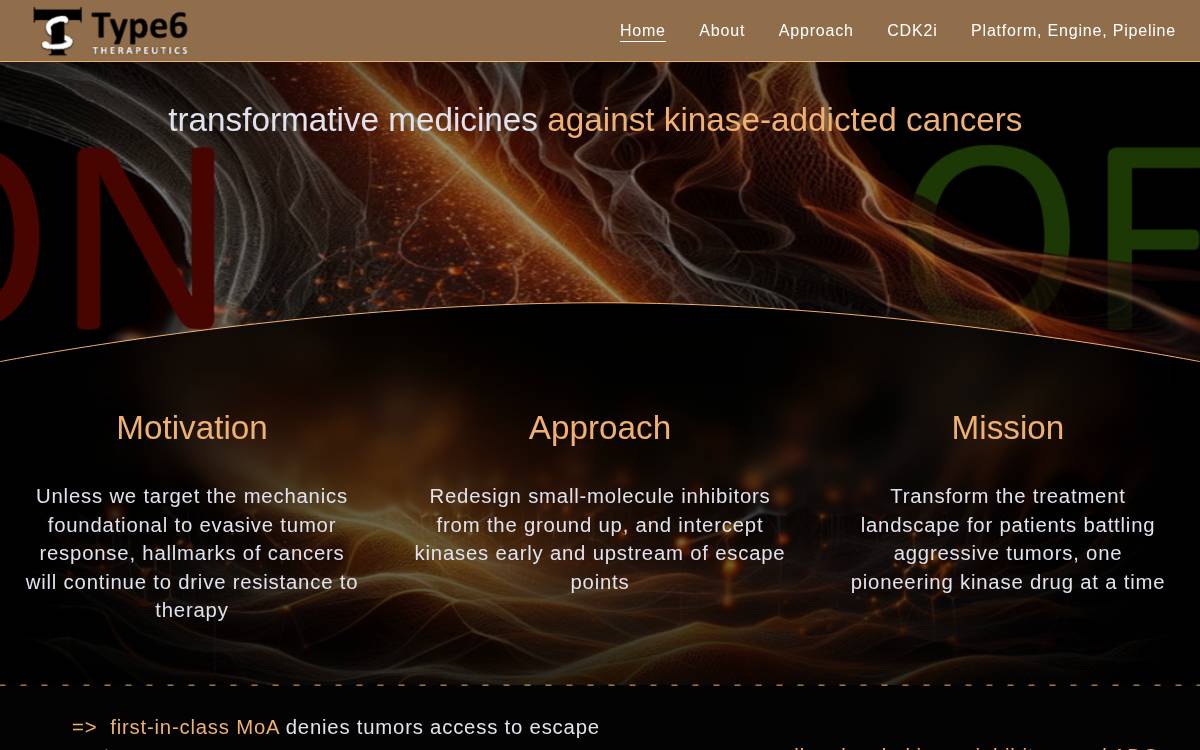 Type6 Therapeutics website preview