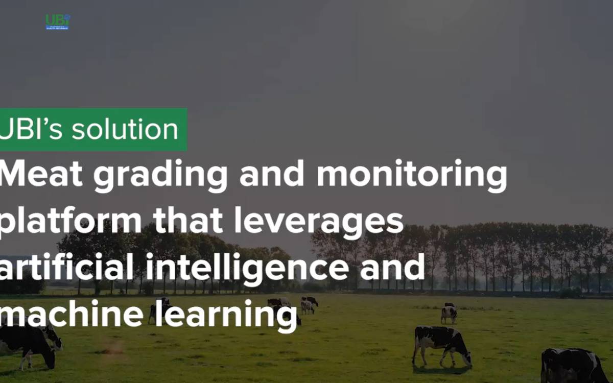 UBI Meat Experts in Quality Assurance website preview