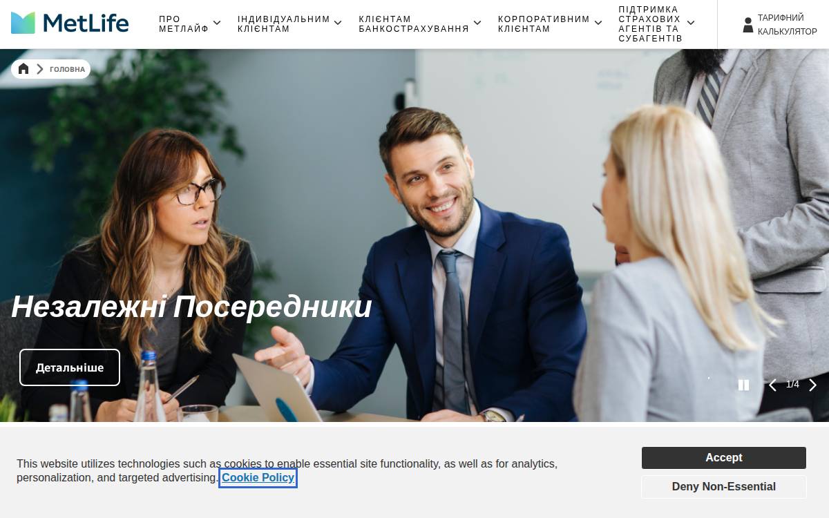 Ukraine website preview