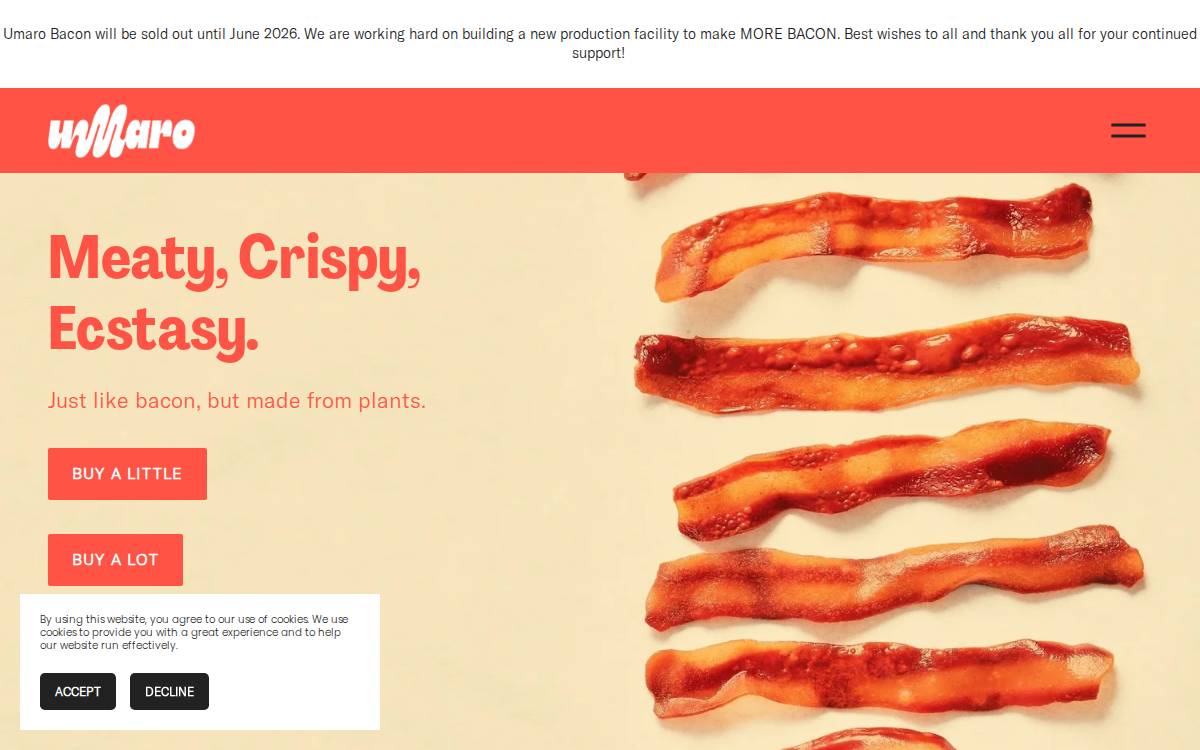 Umaro Foods website preview