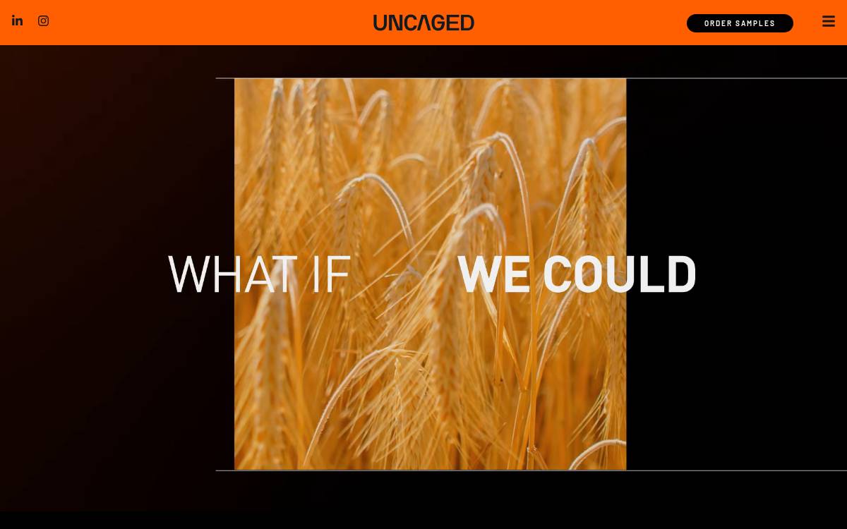 Uncaged Innovations website preview