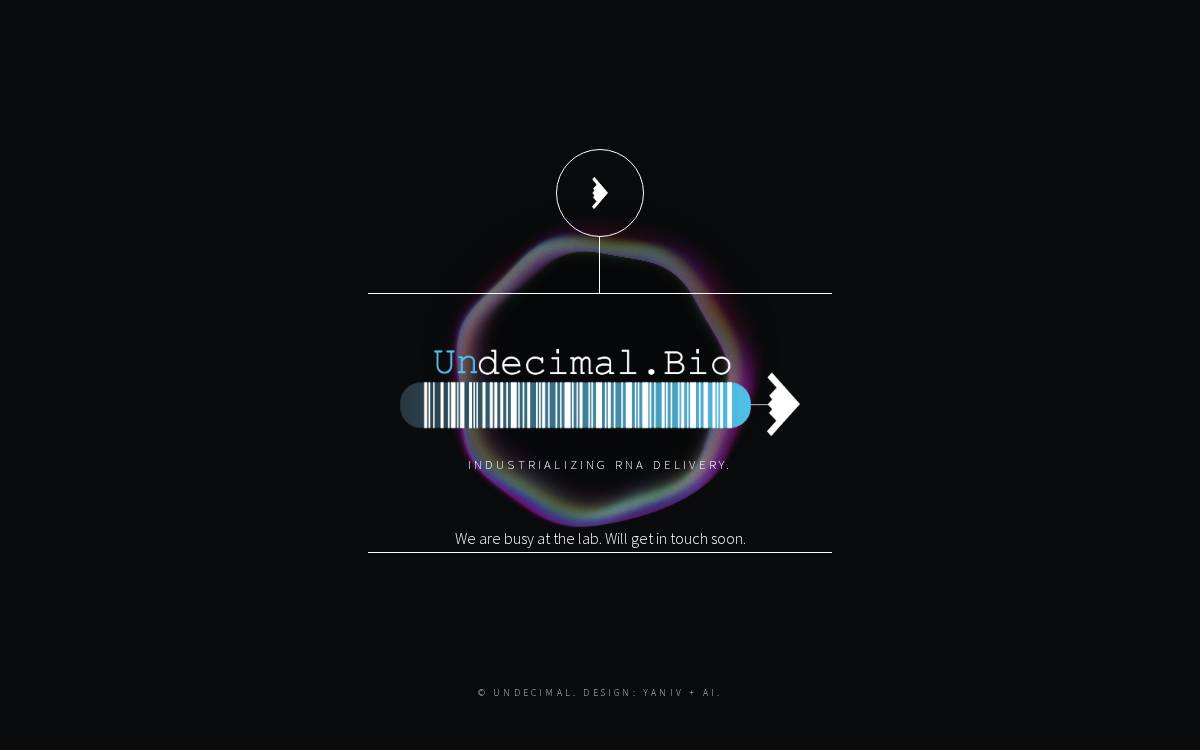 Undecimal website preview