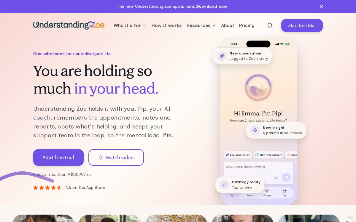 Understanding Zoe website preview