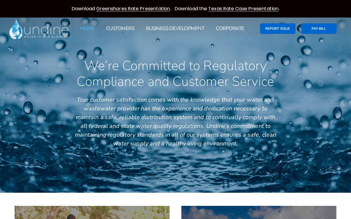 Undinellc website preview