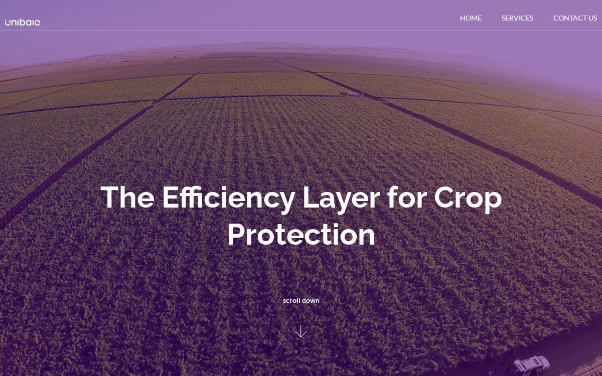 Unibaio website preview