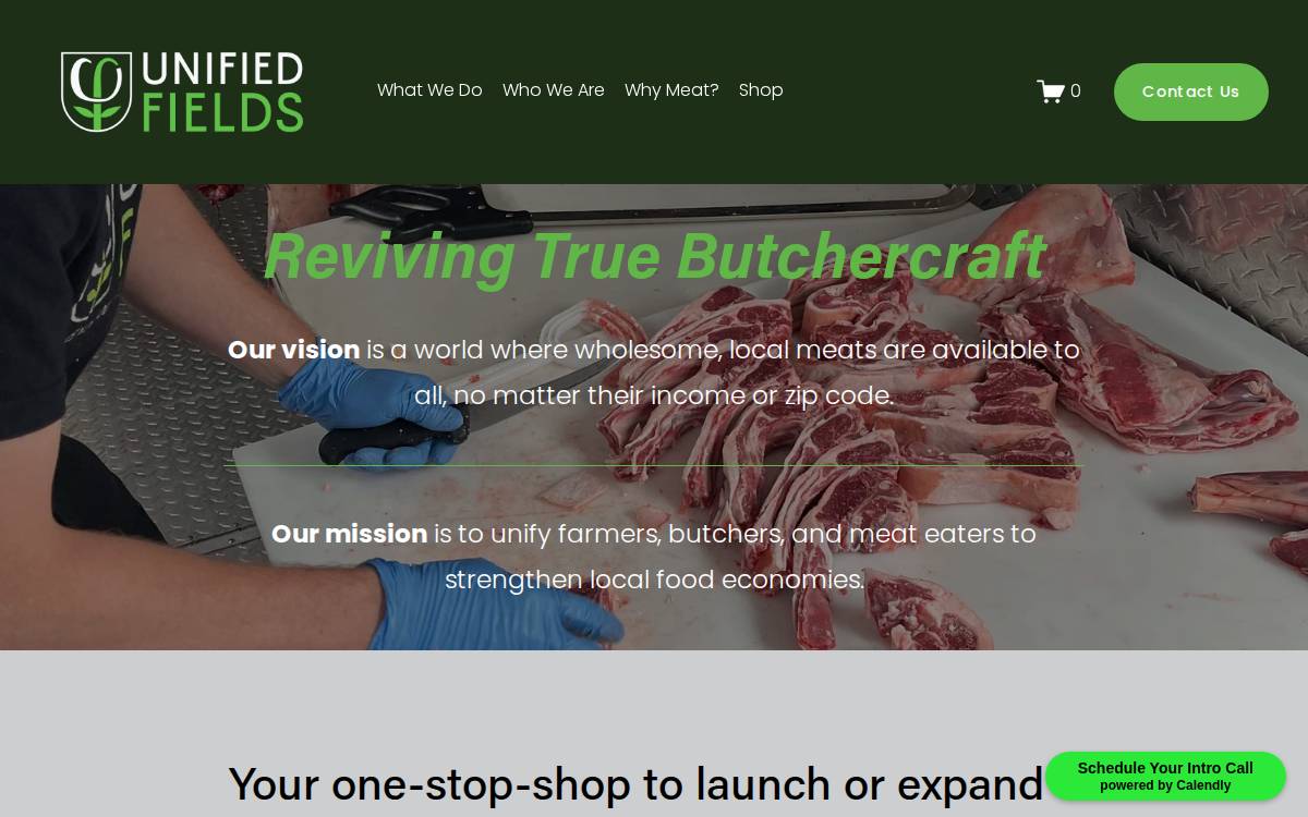 Unified Fields website preview