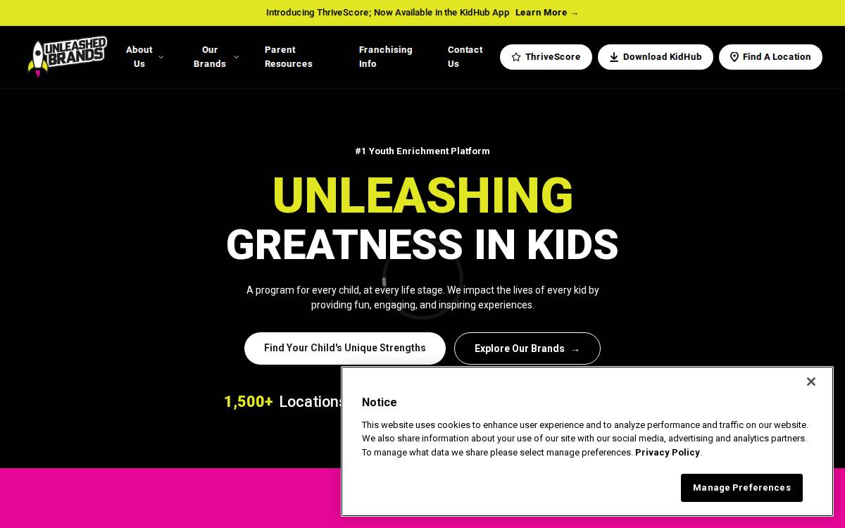 Unleashed Brands website preview