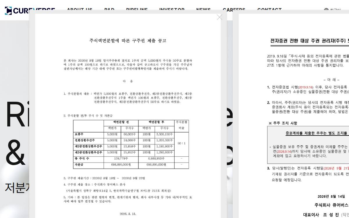 큐어버스 website preview