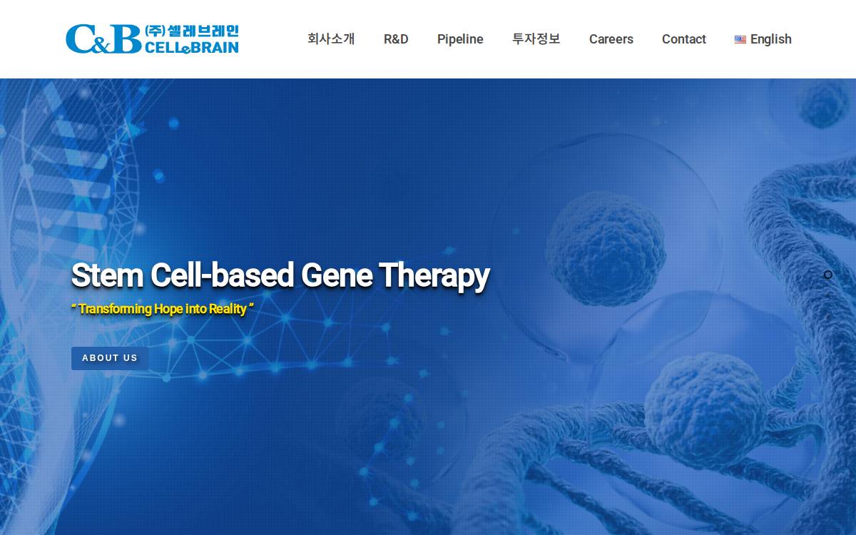 셀레브레인 website preview