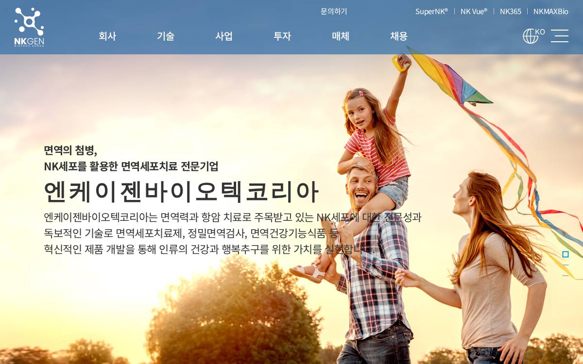 엔케이맥스 website preview