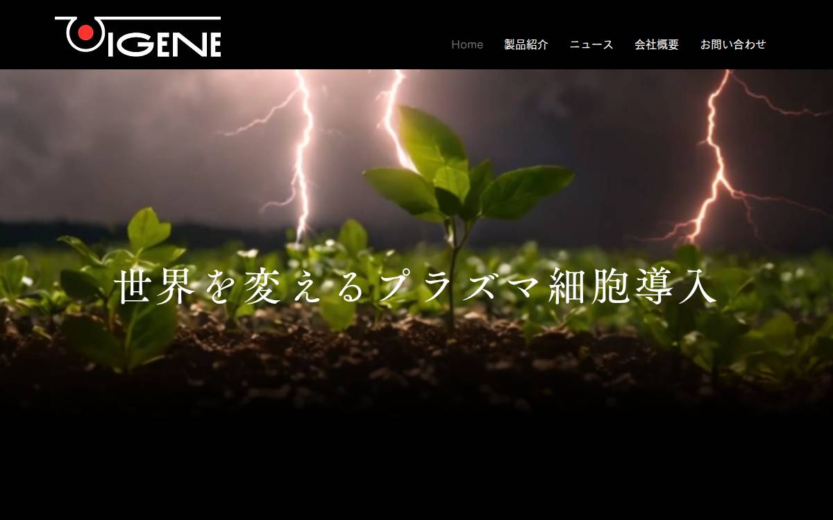 株式会社アイジーン website preview