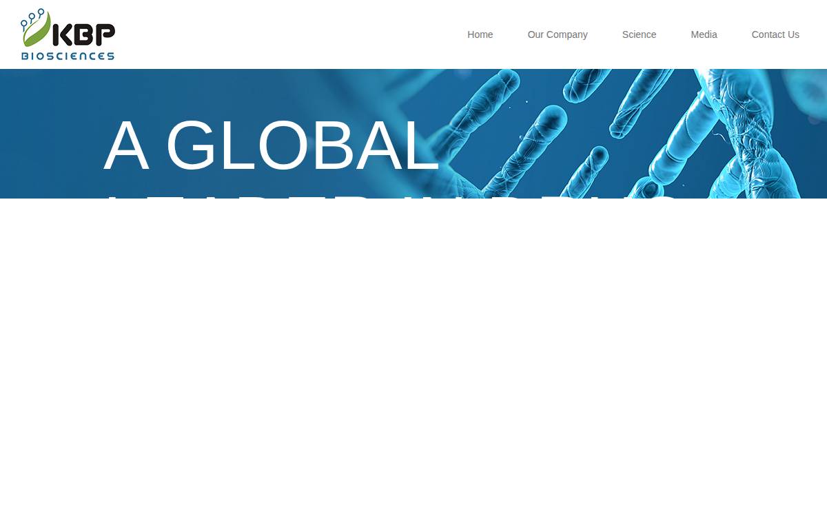 亨利药业 website preview