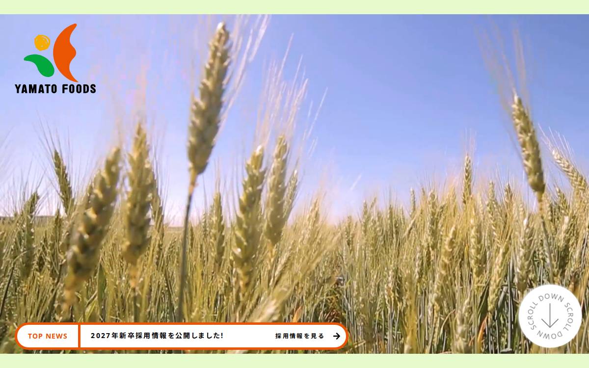 大和フーヅ株式会社 website preview