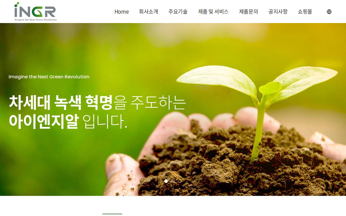 아이엔지알 website preview