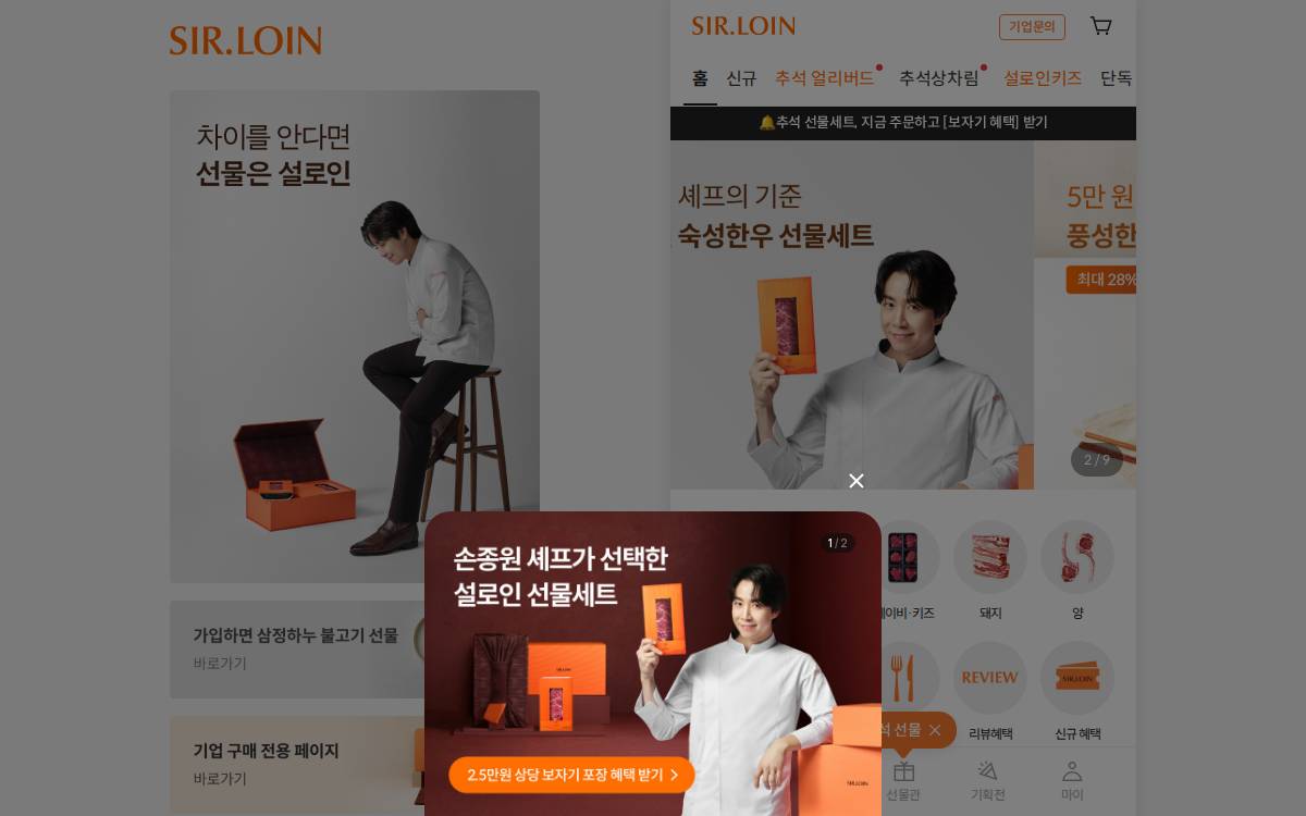 설로인(주) website preview