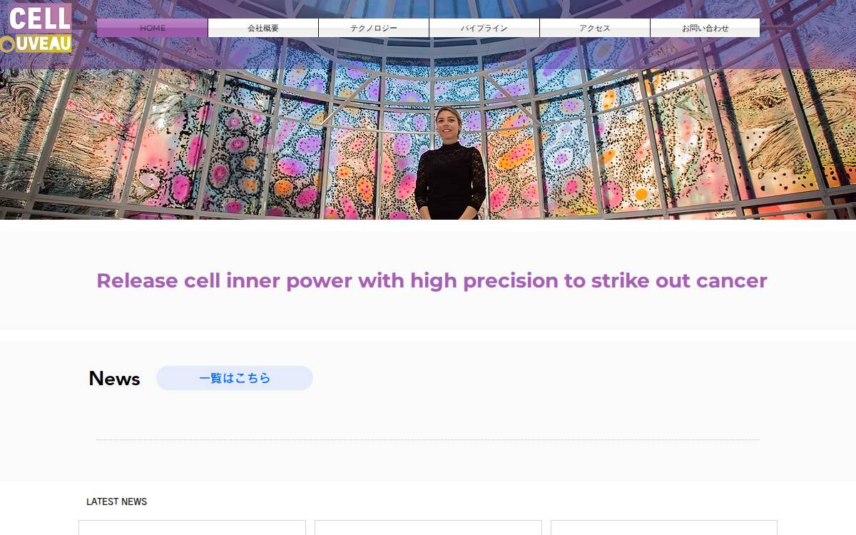 ティーセルヌーヴォー㈱ website preview