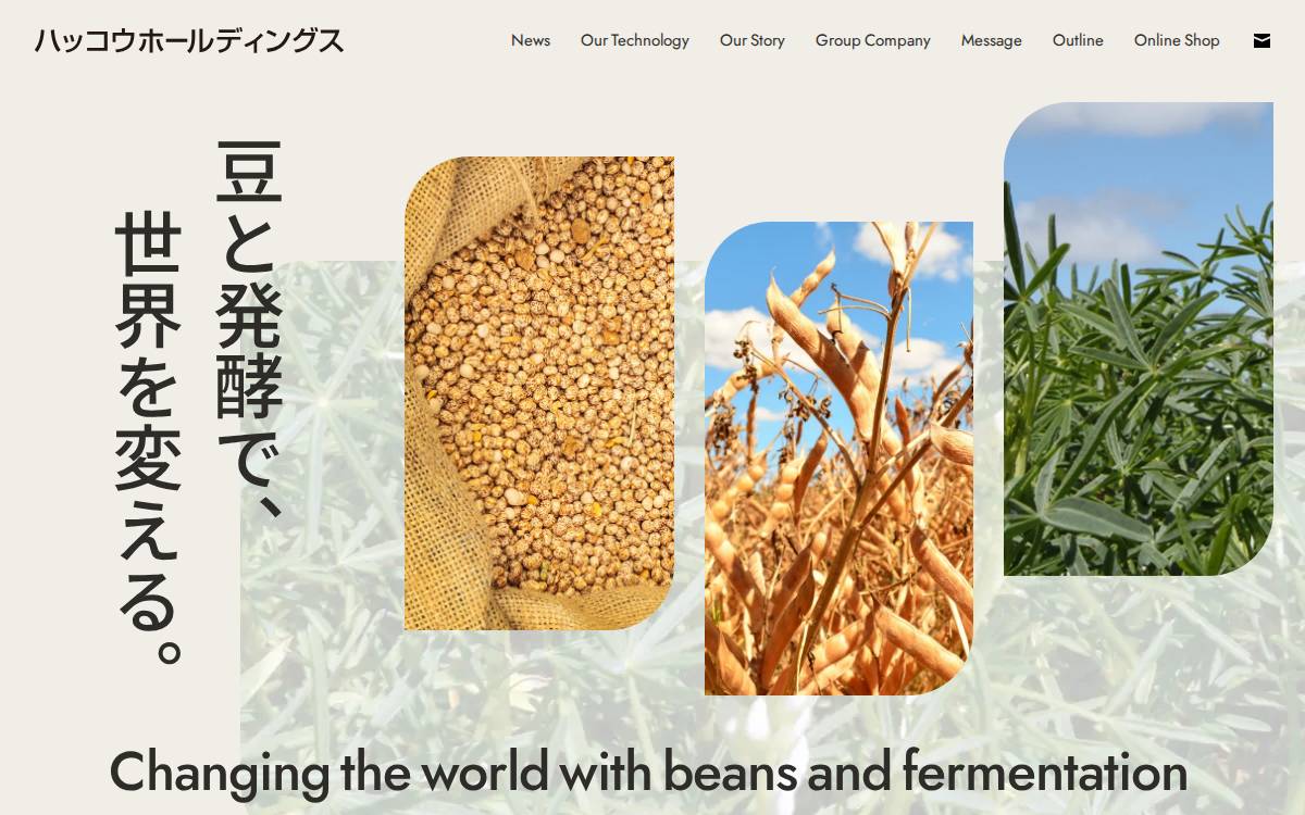ハッコウホールディングス株式会社 website preview