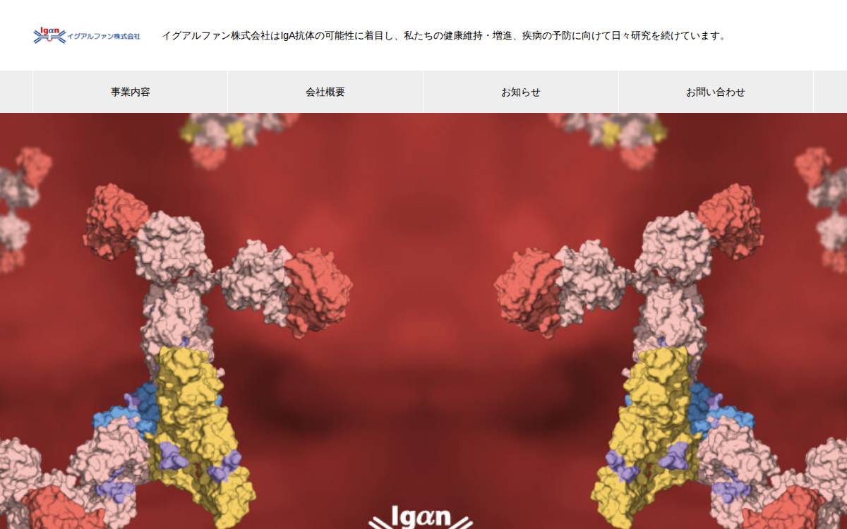 イグアルファン株式会社 website preview