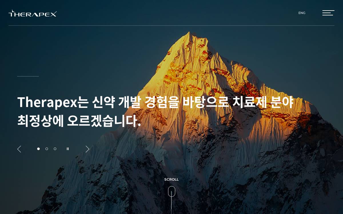 테라펙스 website preview
