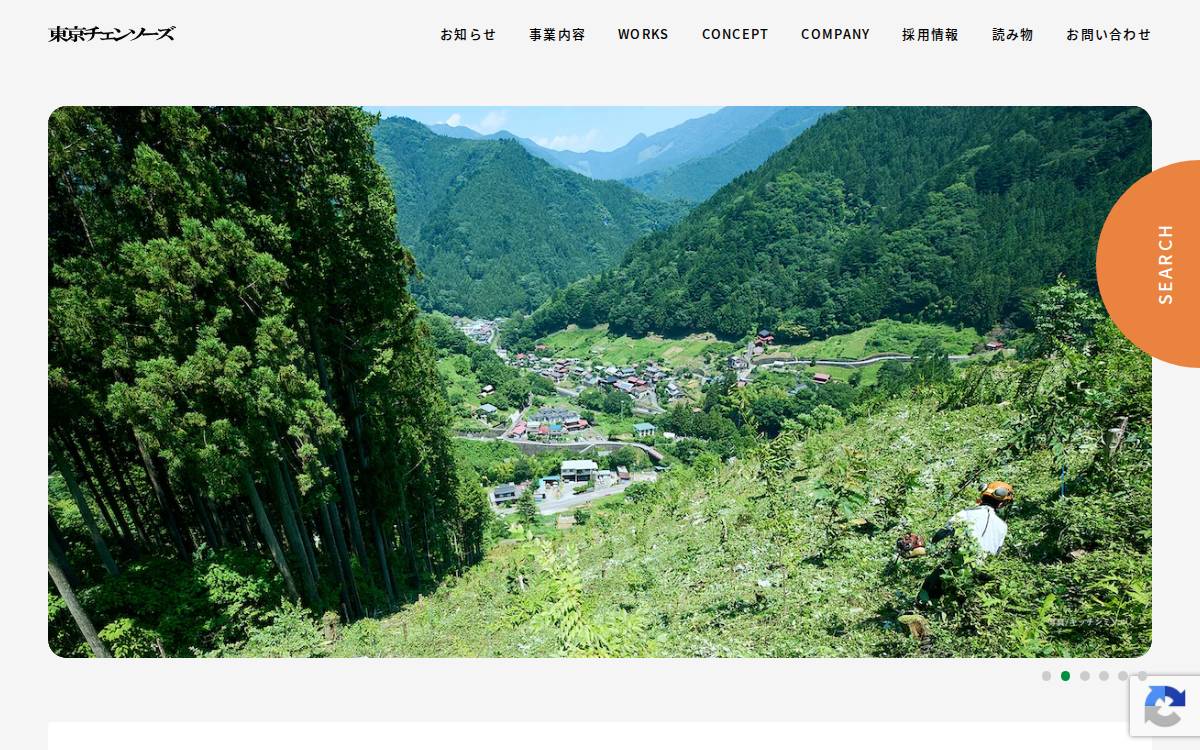株式会社東京チェンソーズ website preview