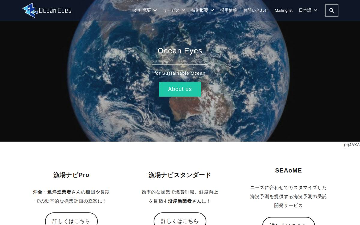 株式会社オーシャンアイズ website preview