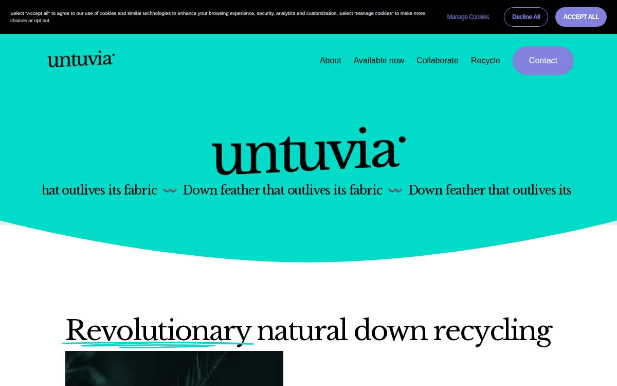 Untuvia website preview