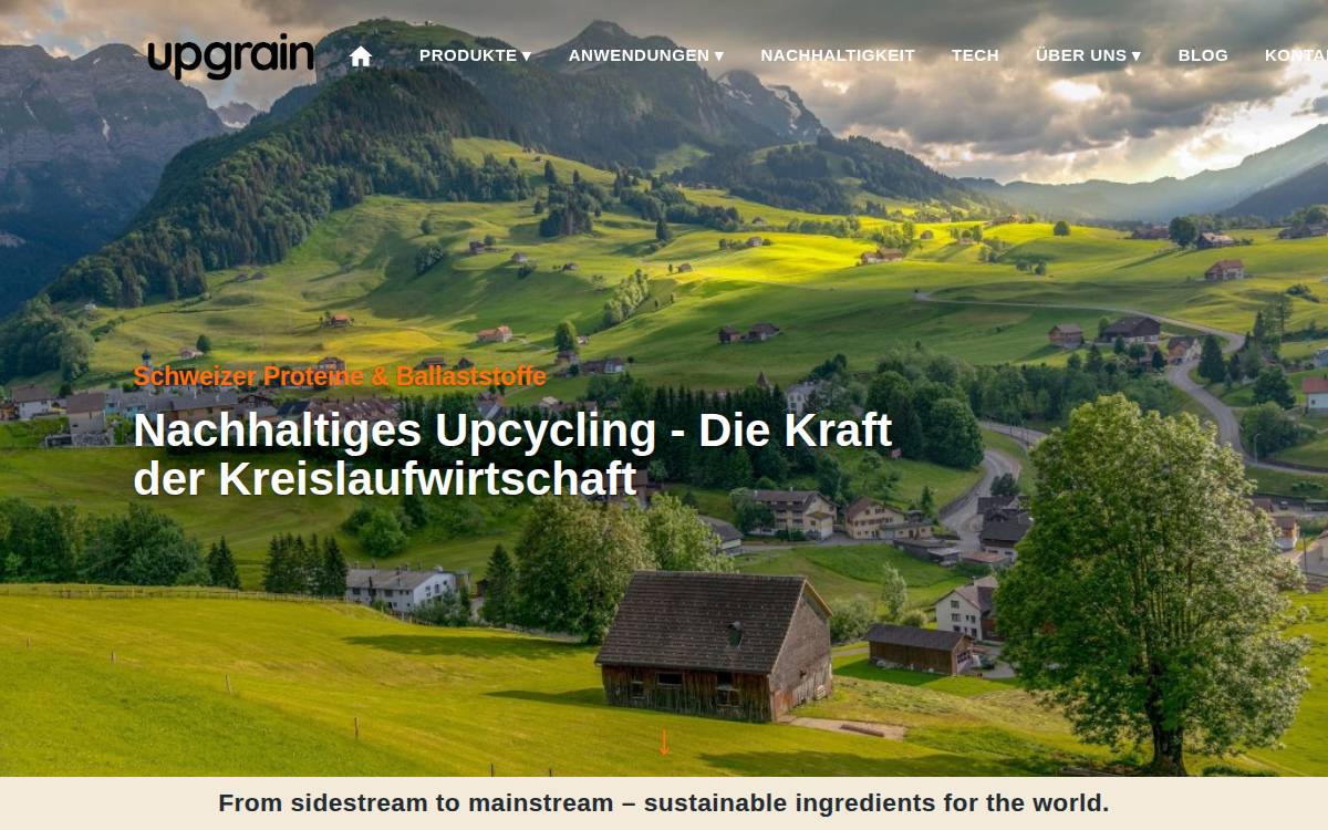 Upgrain website preview