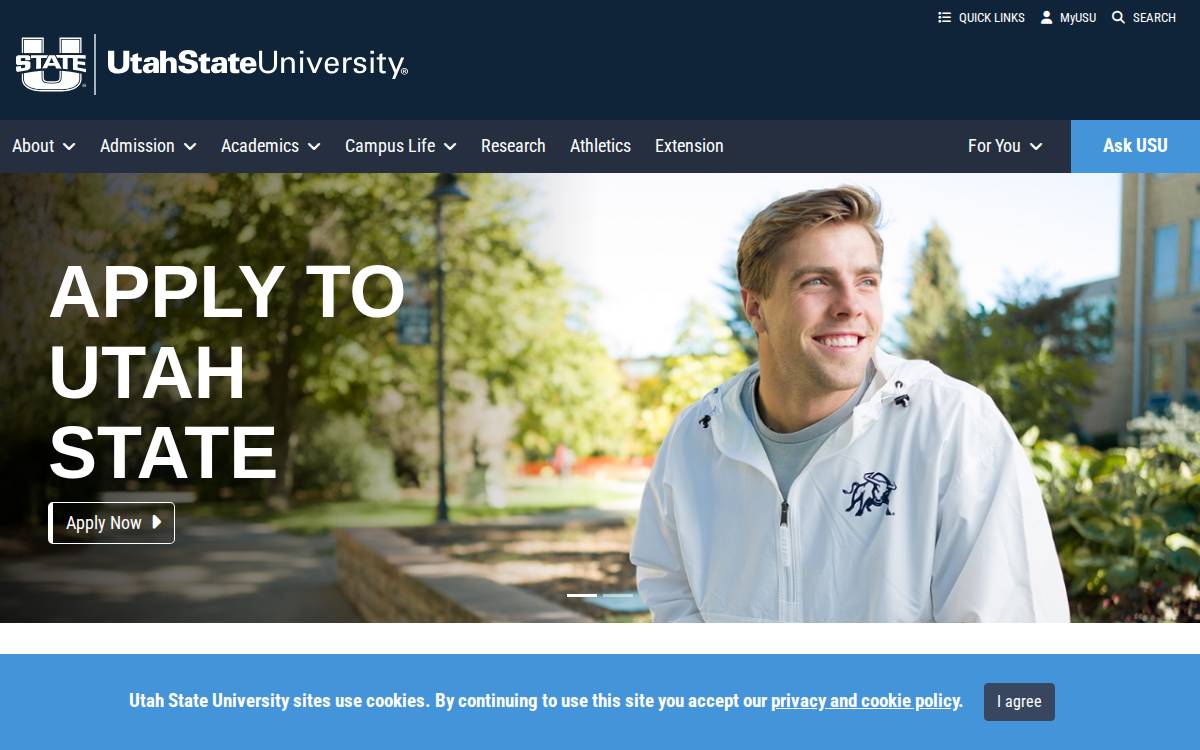 Usu website preview