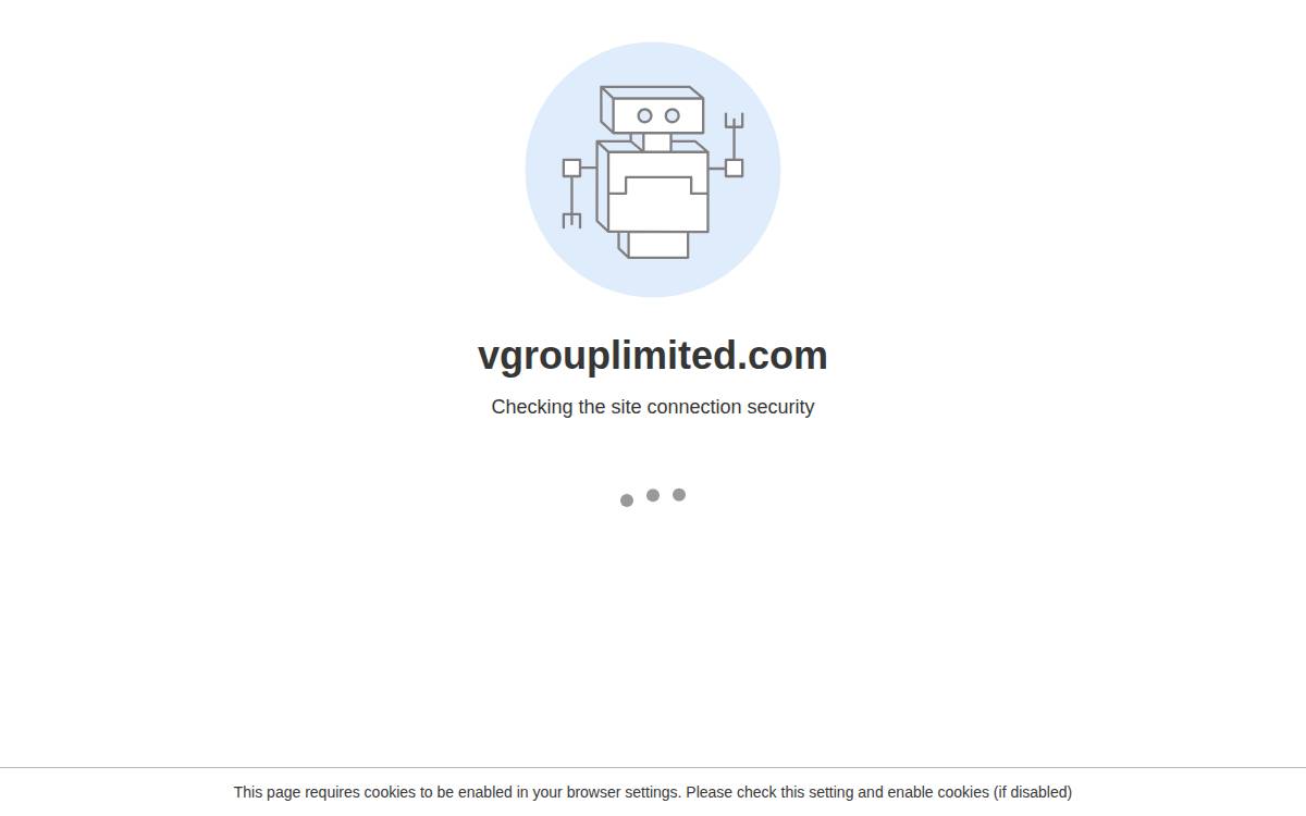 V-Group website preview