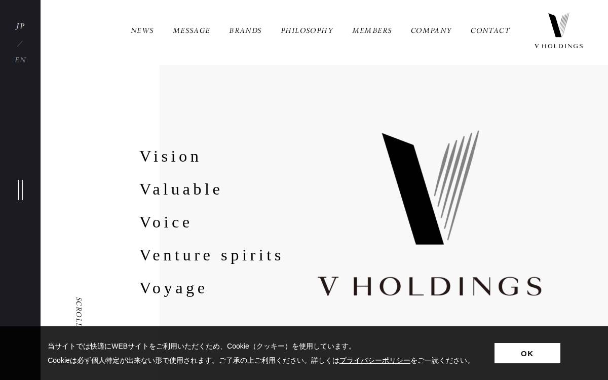 V Holdings website preview